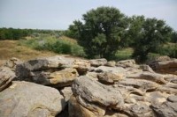 Однодневный выездной семинар